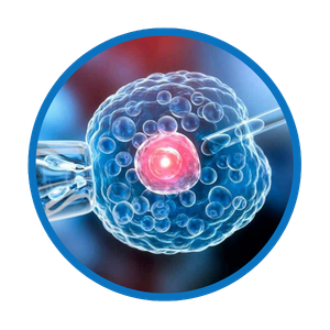 stem cell & regenerative medicine